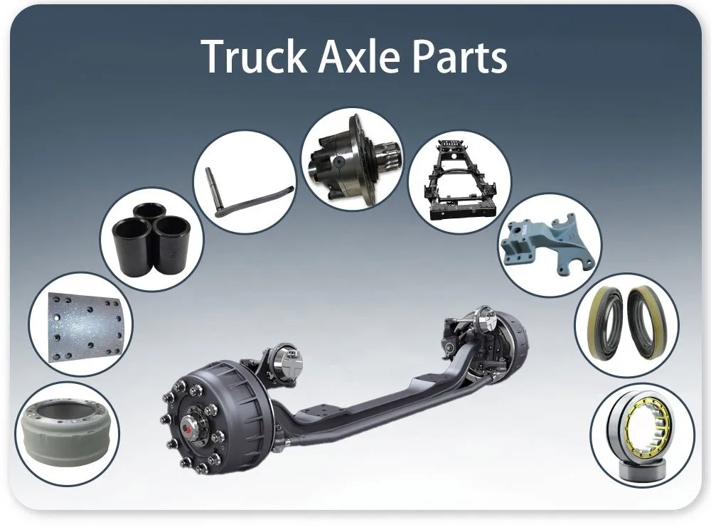 SHACMAN CHASSIS PARTS- SHACMAN Truck-Axle-Parts