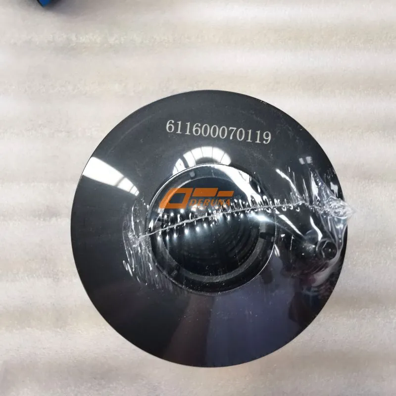 611600070119 Oil Filter