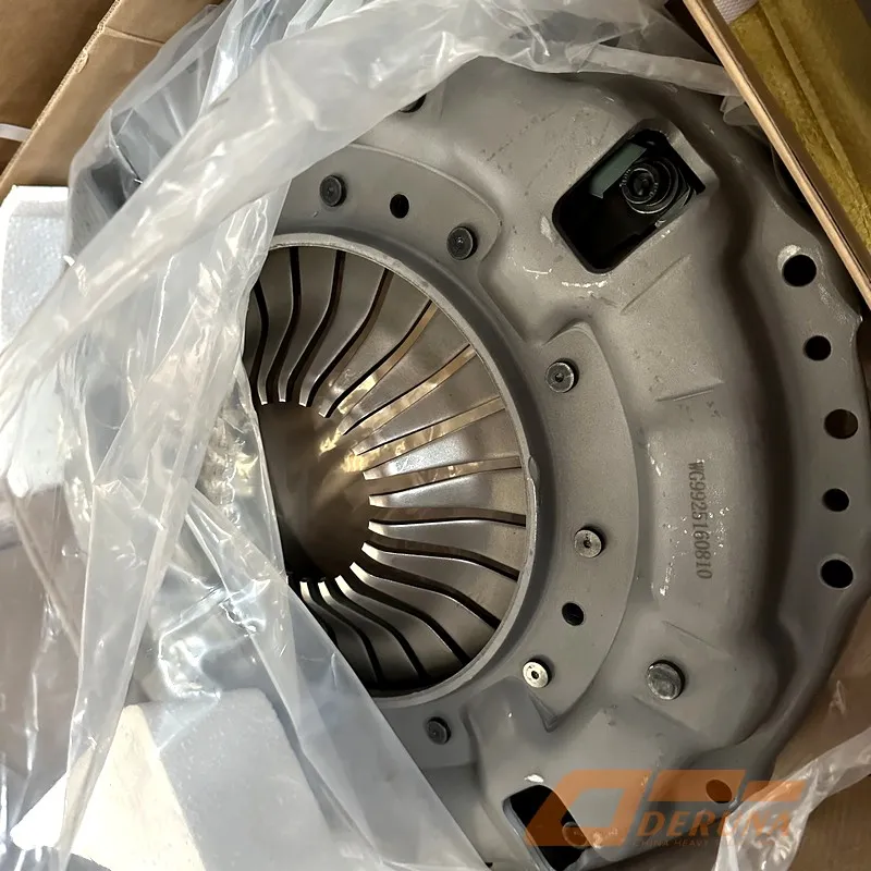 WG9925160810 Clutch Plate+Clutch Basket