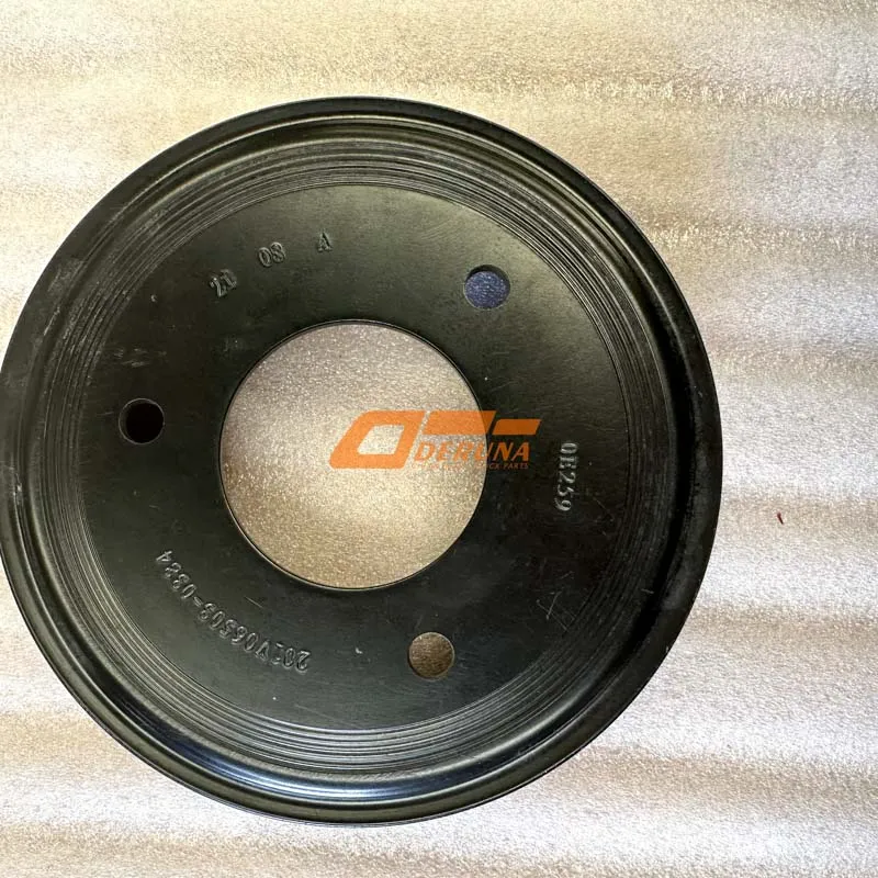 201V06503-0384 Water Pump Pulley