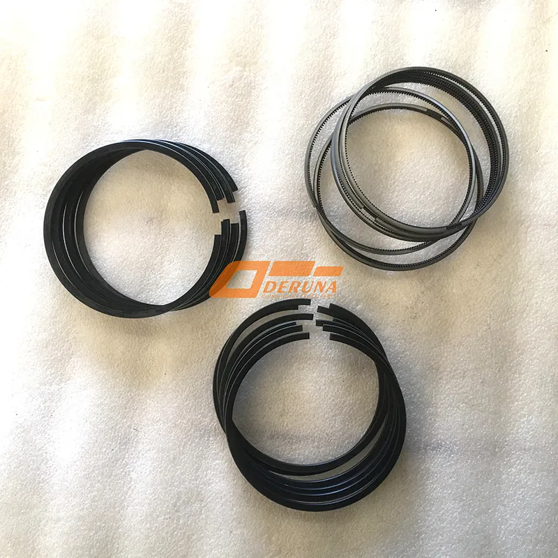 202V02503-6005 Set Of Piston Rings
