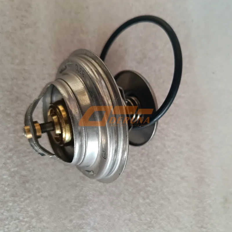 61800060172 Thermostat Wp-10 (S) (79 °C) 61800060172