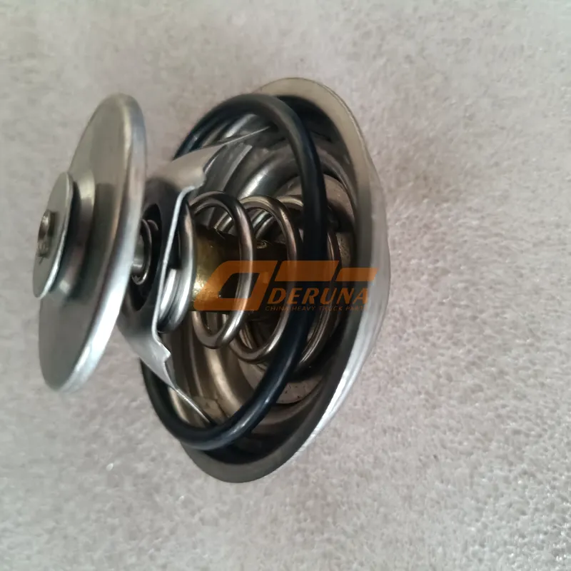 61800060172 Thermostat Wp-10 (S) (79 °C) 61800060172