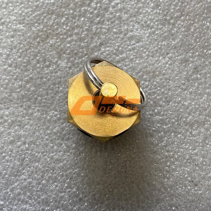 WG9000361402 Water Drain Valve