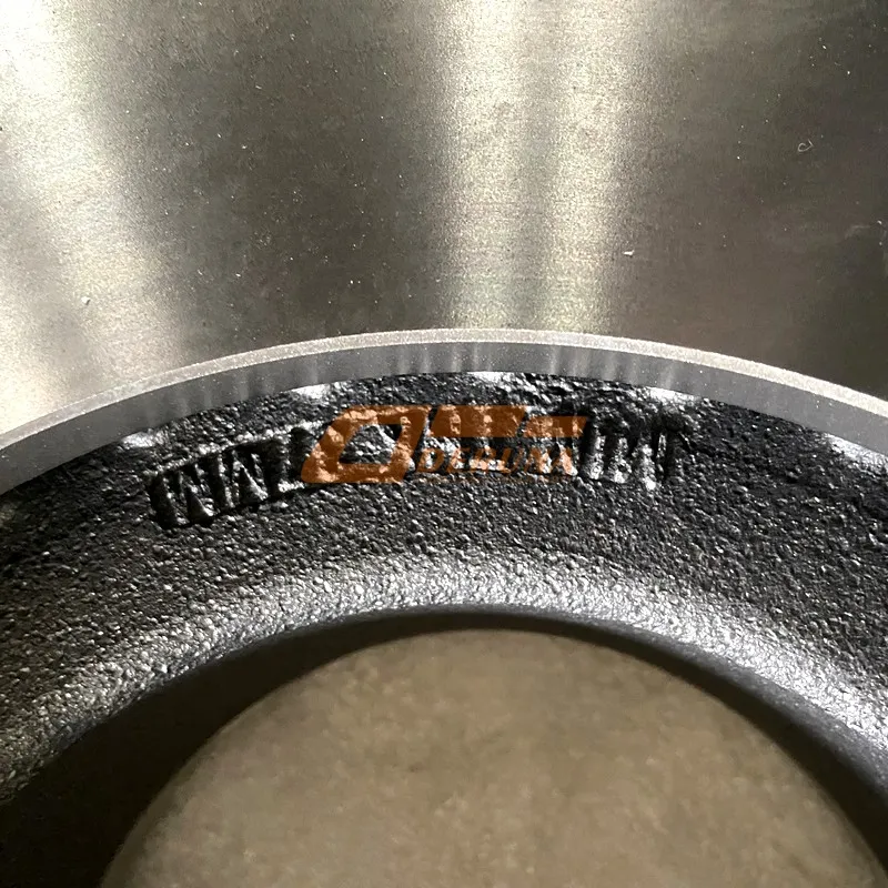 WG9100443003 Pm Brake Disk (Z3)
