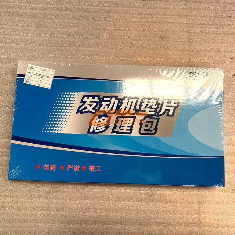 D10.38E5 KIT Engine Repair Kit