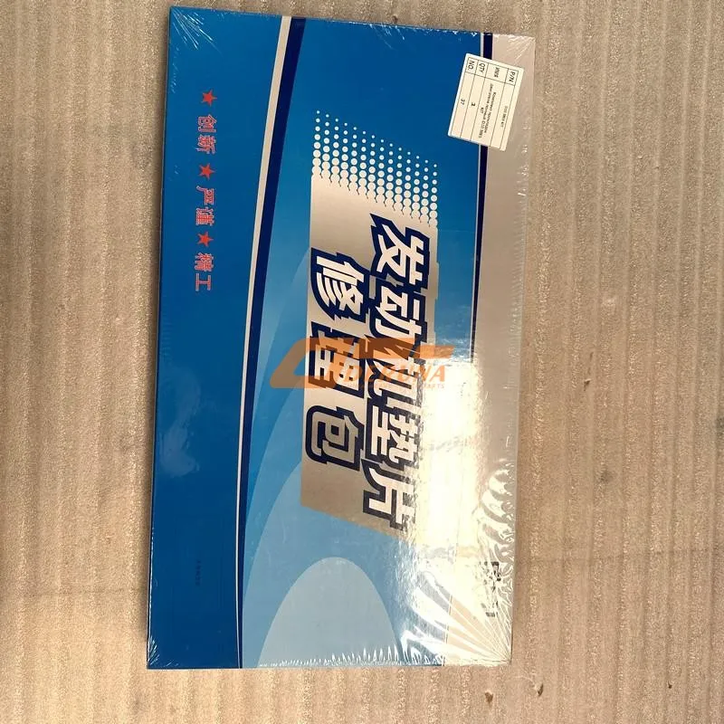 D10.38E5 KIT Engine Repair Kit