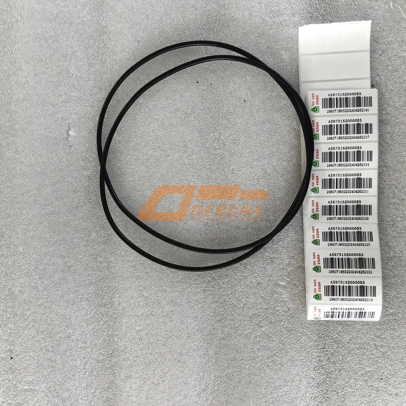 AZ973152000053 O-Rings