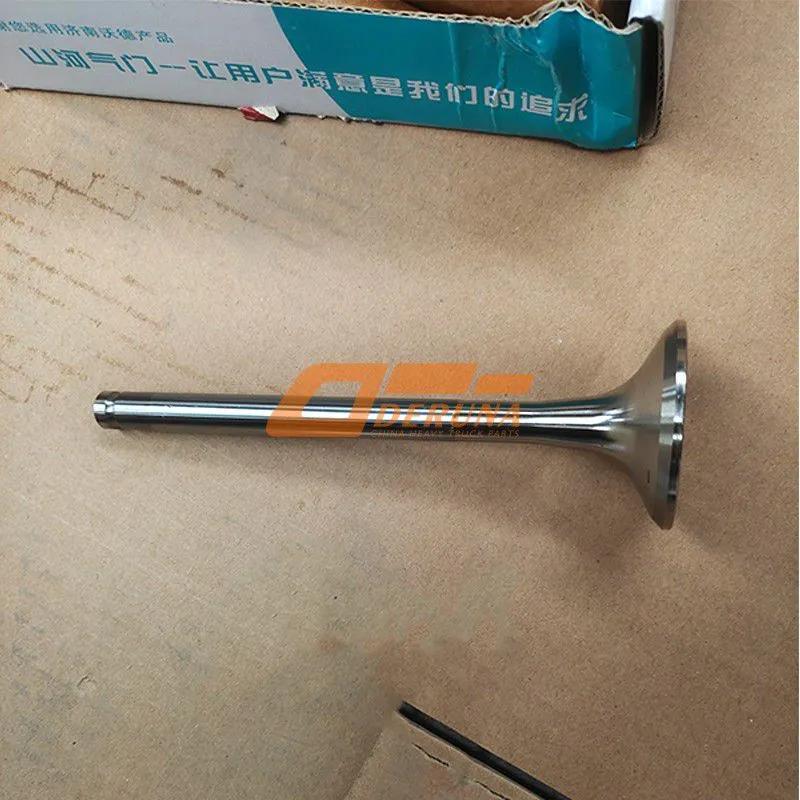 VG1560051001/VG1560050041 Intake And Exhaust Valve