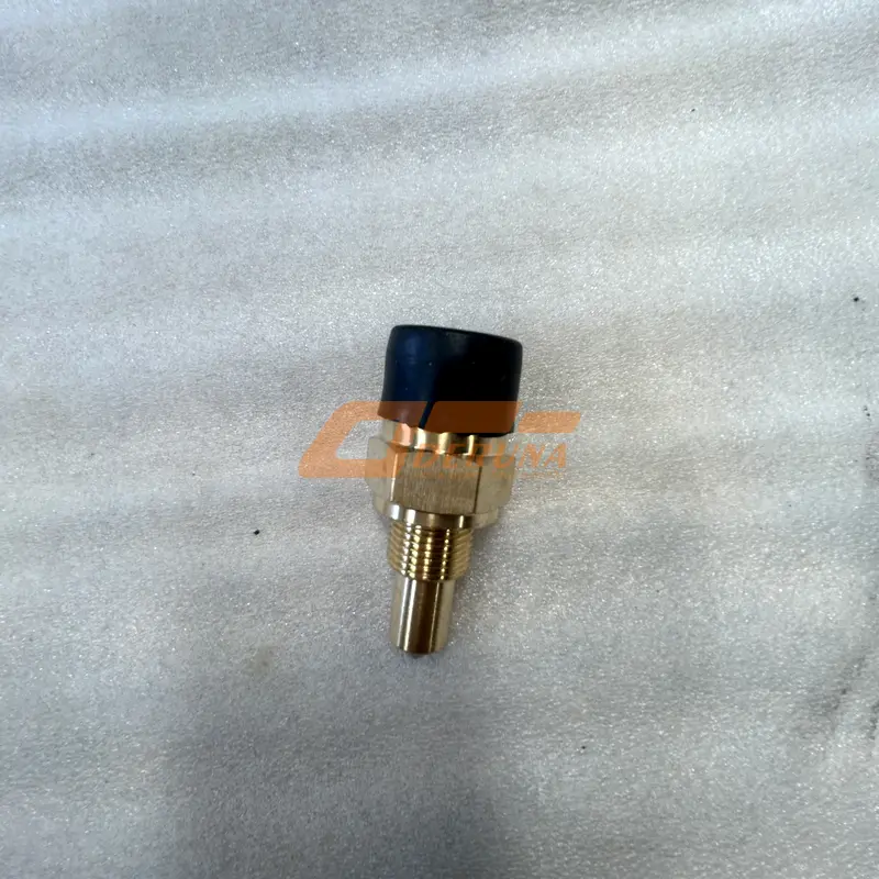 WG2209280023 Pressure Switch