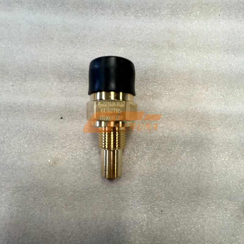 WG2209280023 Pressure Switch