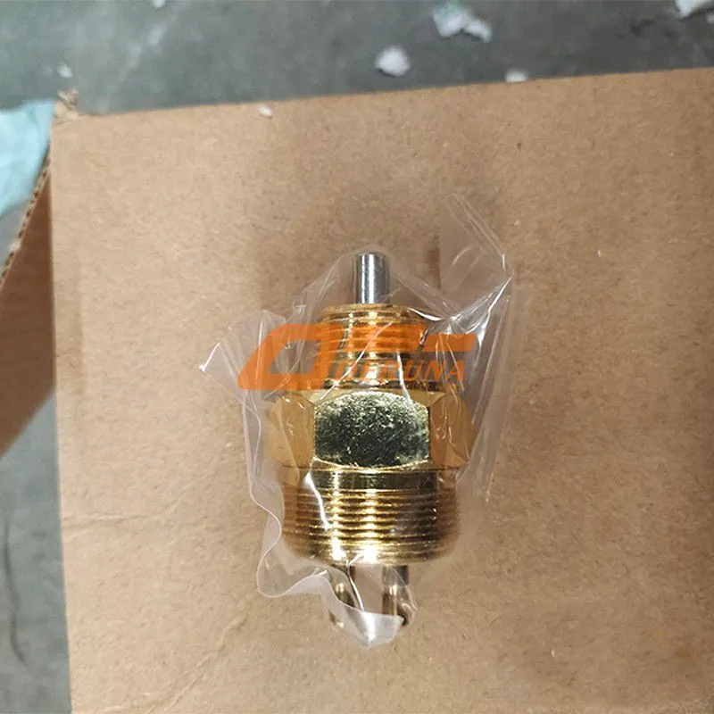 WG9100710069 Pressure Switch