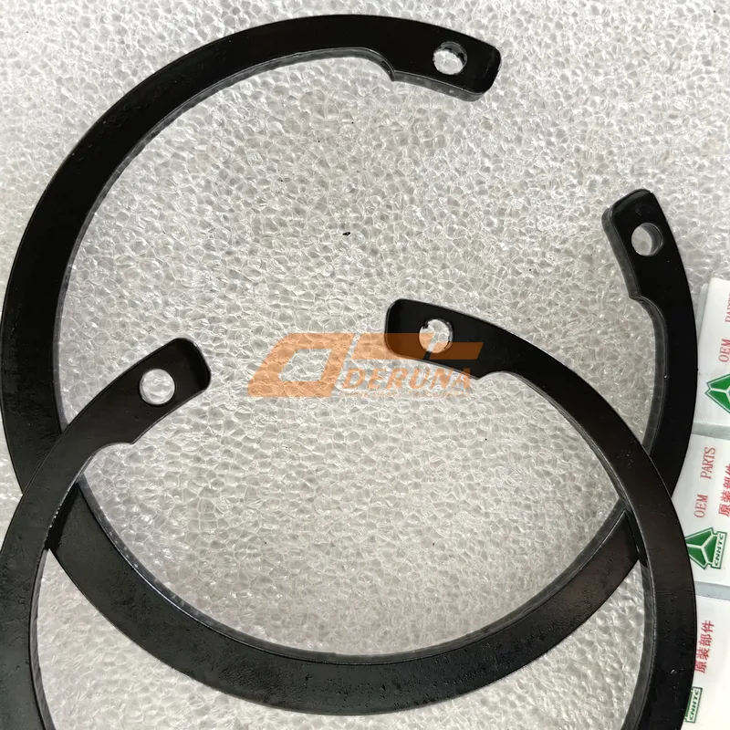 WG9631524209 Retaining Ring
