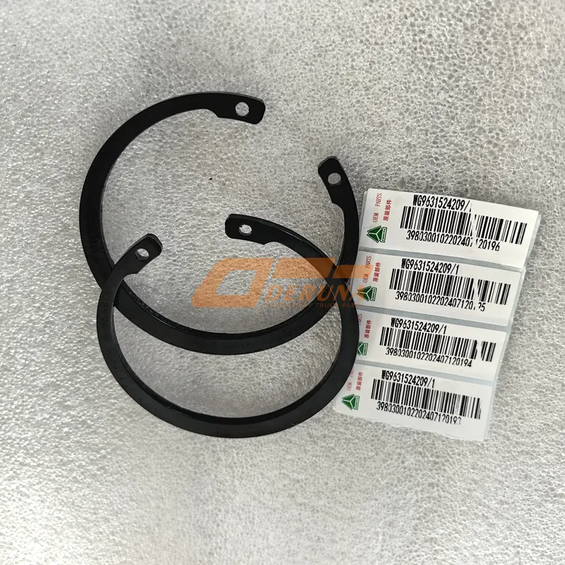 WG9631524209 Retaining Ring