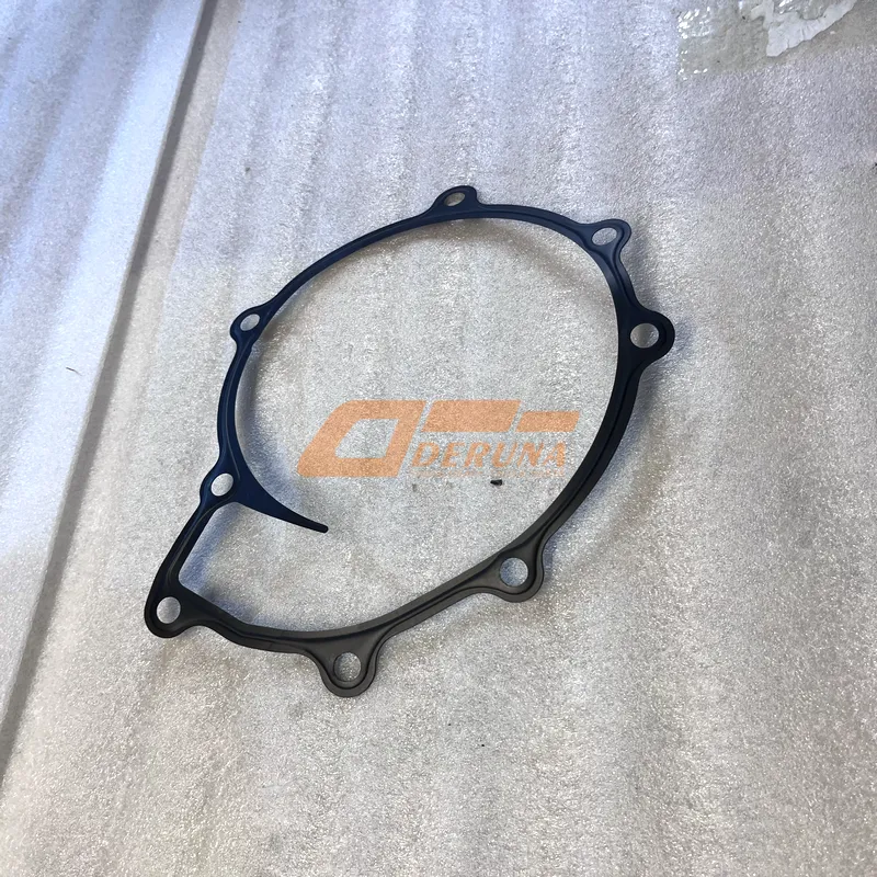 080V06901-0196 Pump Gasket