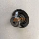 1306010-81D Thermostat Assembly
