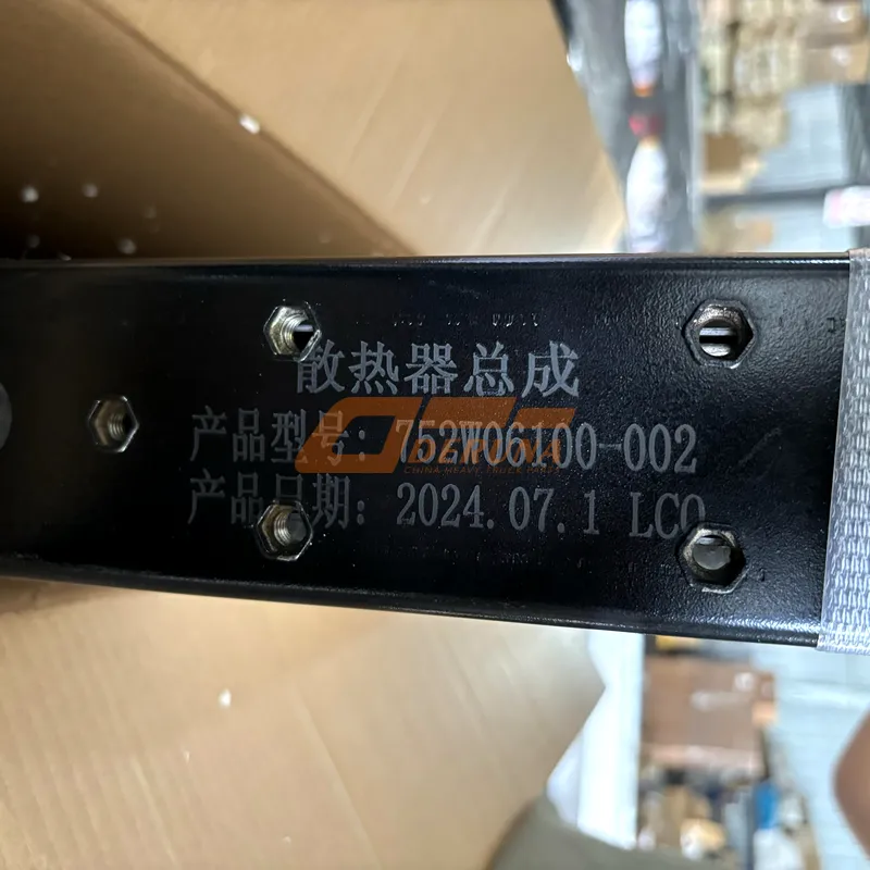 752W061000002 Radiator Howo T5G