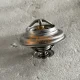 130601029D Thermostat FAW 3250 J5