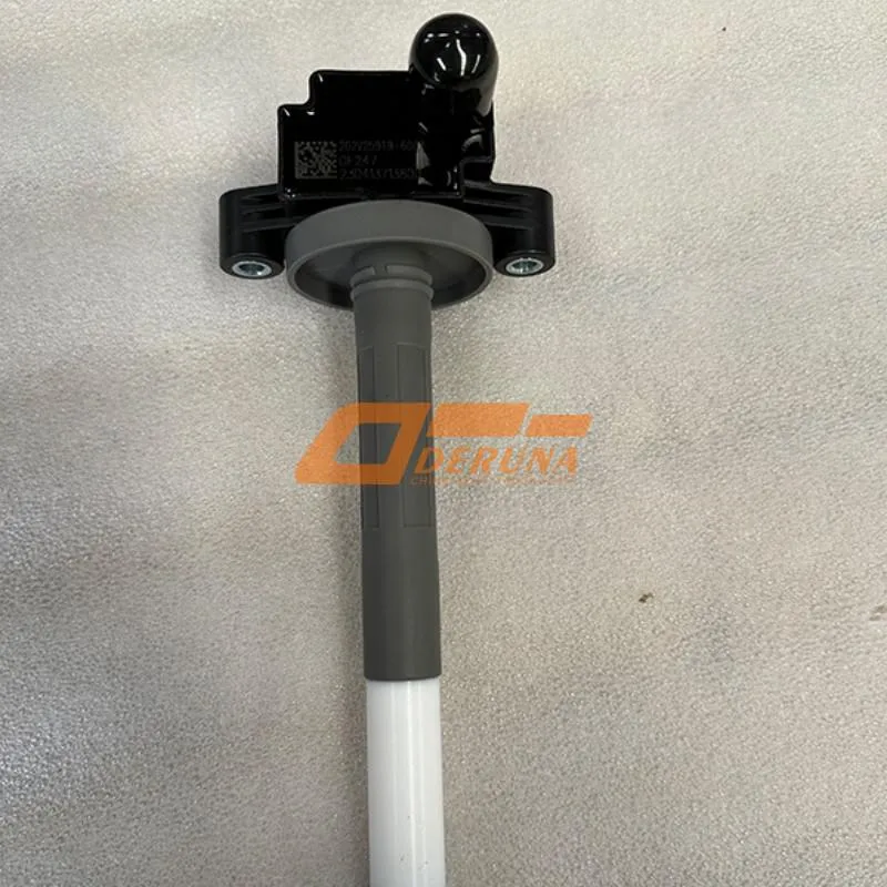 202V25919-6007 Ignition Coil Assembly