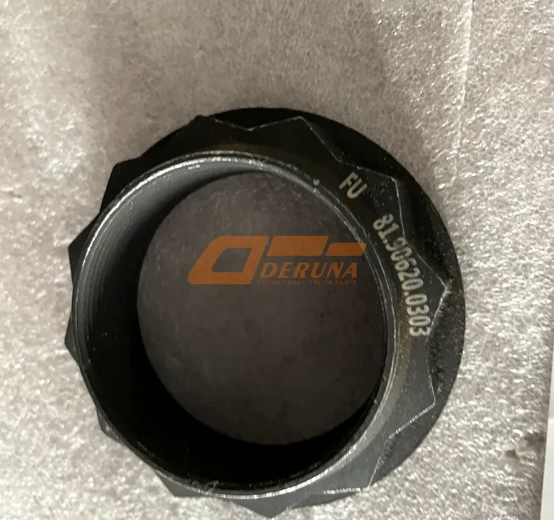 2402079D Transmission Flange Nut FAW 3252, 3312 Shanxi