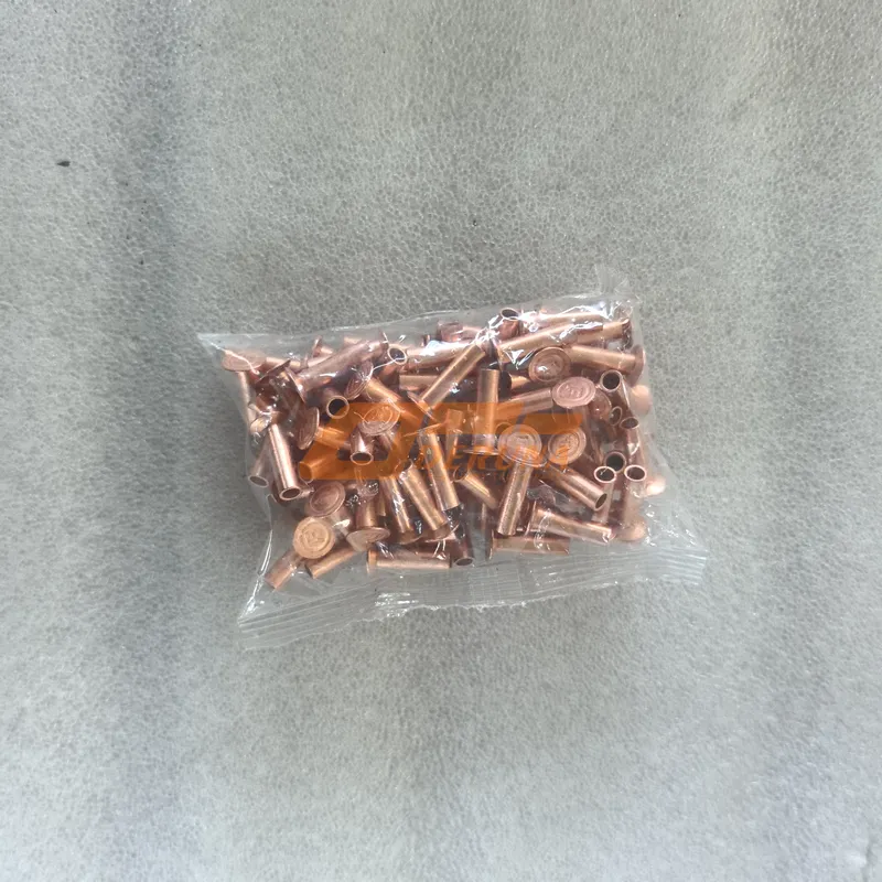 3502408BA2T Rivets for friction lining front