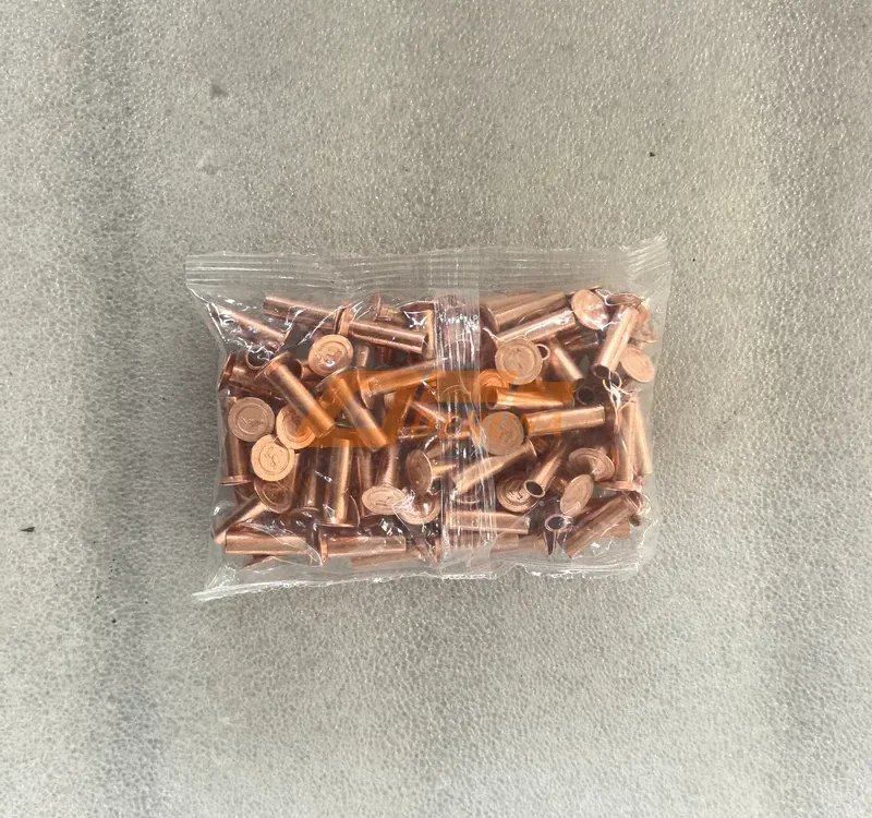 3502408BA2T Rivets for friction lining front