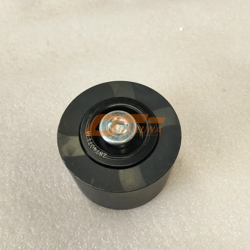 C2874071 Idler Pulley