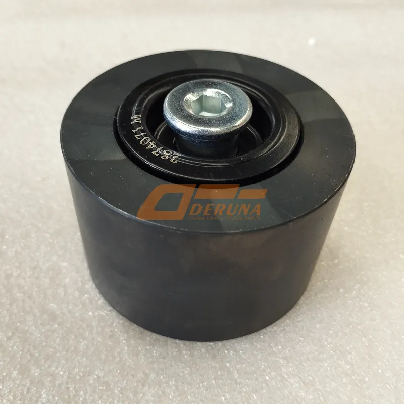C2874071 Idler Pulley