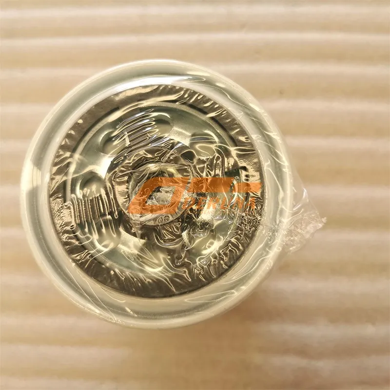 DS010224563 Fuel Filter