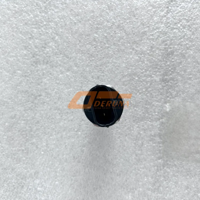 612600081585/0281002937/0281006425 Fuel Pressure Sensor For Wp12 Euro 3 Ramps