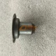 1000549569 D=14 Oil Cap (With Skirt) Wp10 Euro5 X3000