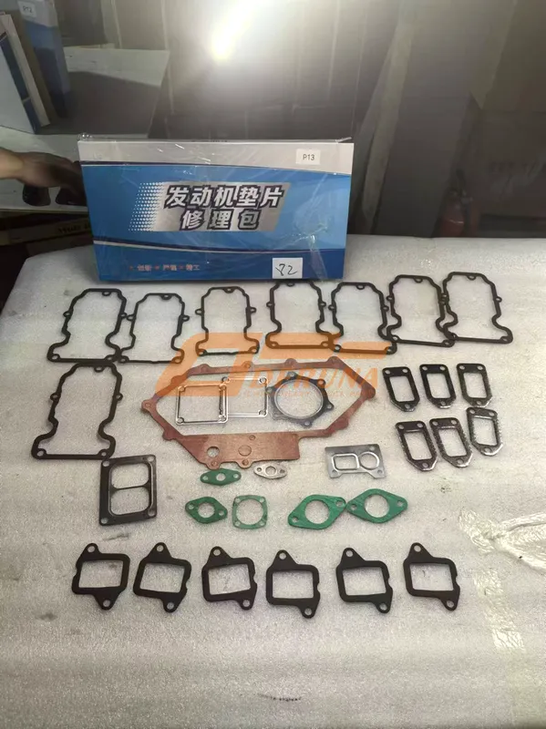 1003162606 Engine Gasket (Repair Kit) Wp12 Euro5 X3000