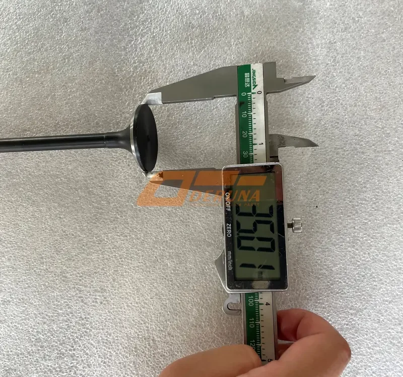 1007016-36D Exhaust Valve D=35