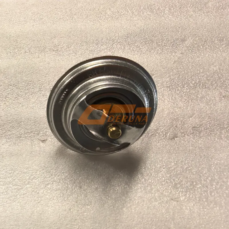 1306010-29D 76°C Thermostat