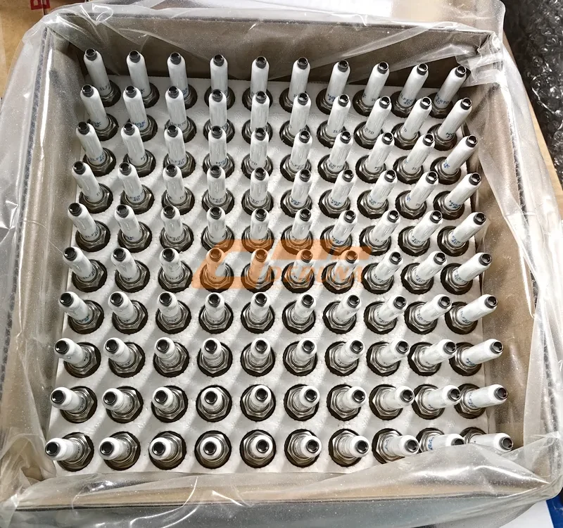 202V25923-0005 Spark Plug