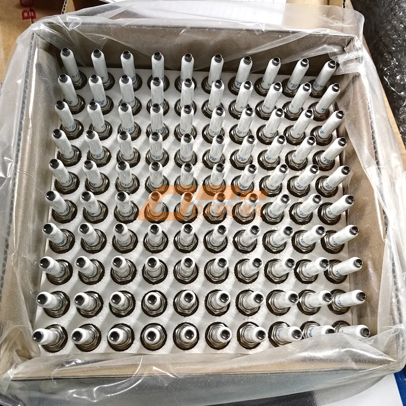 202V25923-0005 Spark Plug