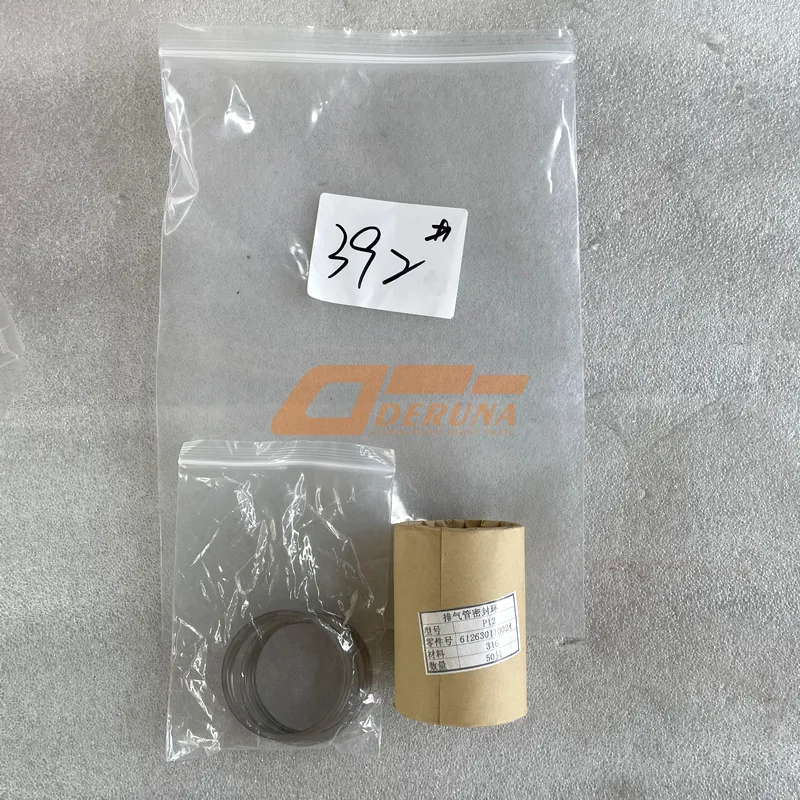 612630110024 Collector Ring Wp12 X3000