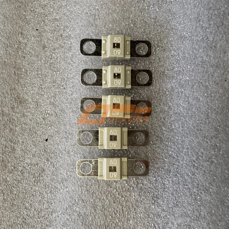 DZ93189712134 80a Fuse