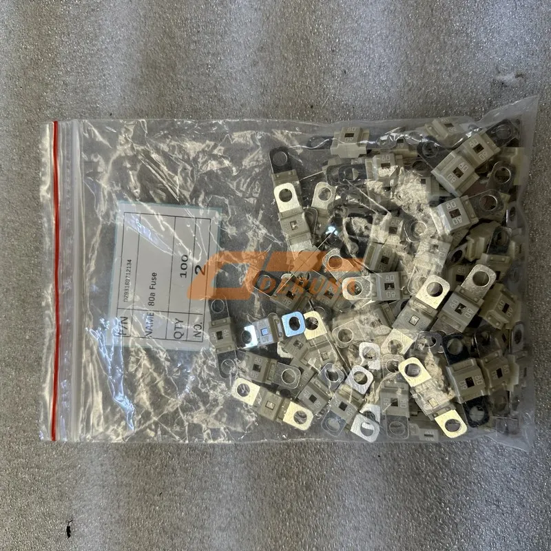 DZ93189712134 80a Fuse