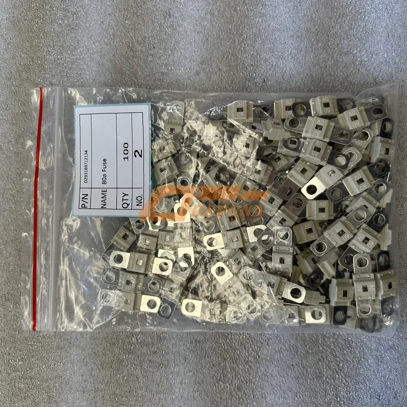 DZ93189712134 80a Fuse