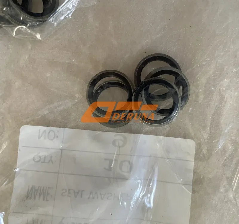 Q72314T5F Seal Washers