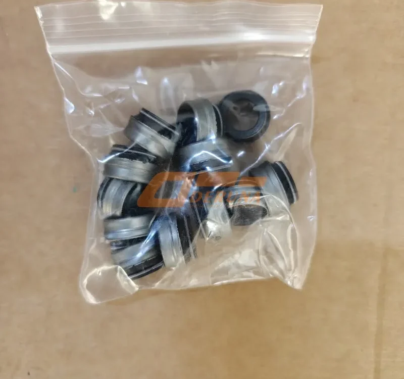 VG1560040032 Valve Seal