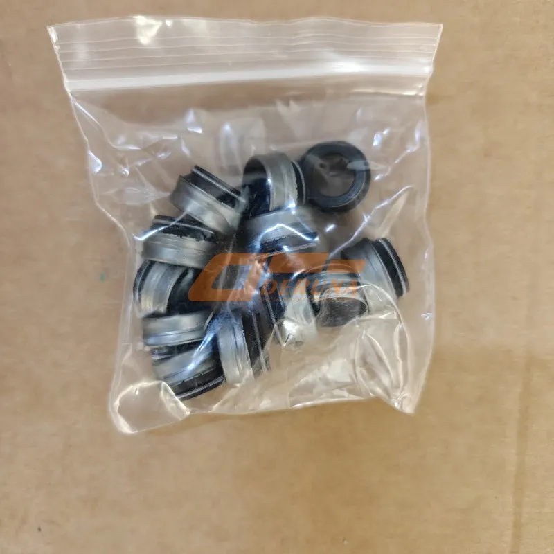 VG1560040032 Valve Seal