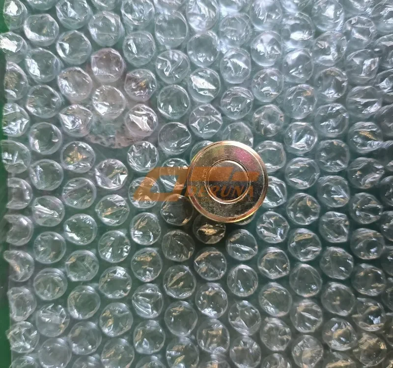 WG9003960024 T5G Rear Axle Drain Plug M24X1,5