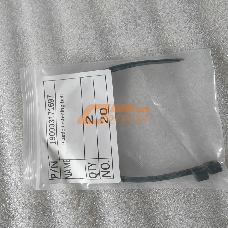 190003171697 Plastic Fastening Belt