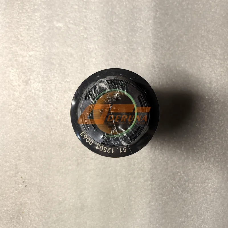 51.12503.0063 Howo Man Tga T5GSitrak Mc11 Fuel Fine Filter