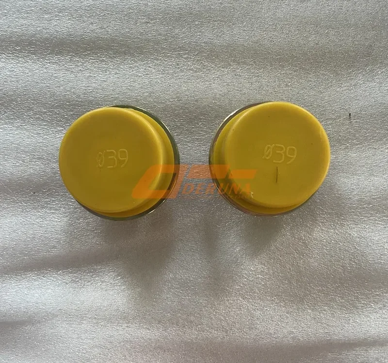 612600150251 Crankcase Drain Plug