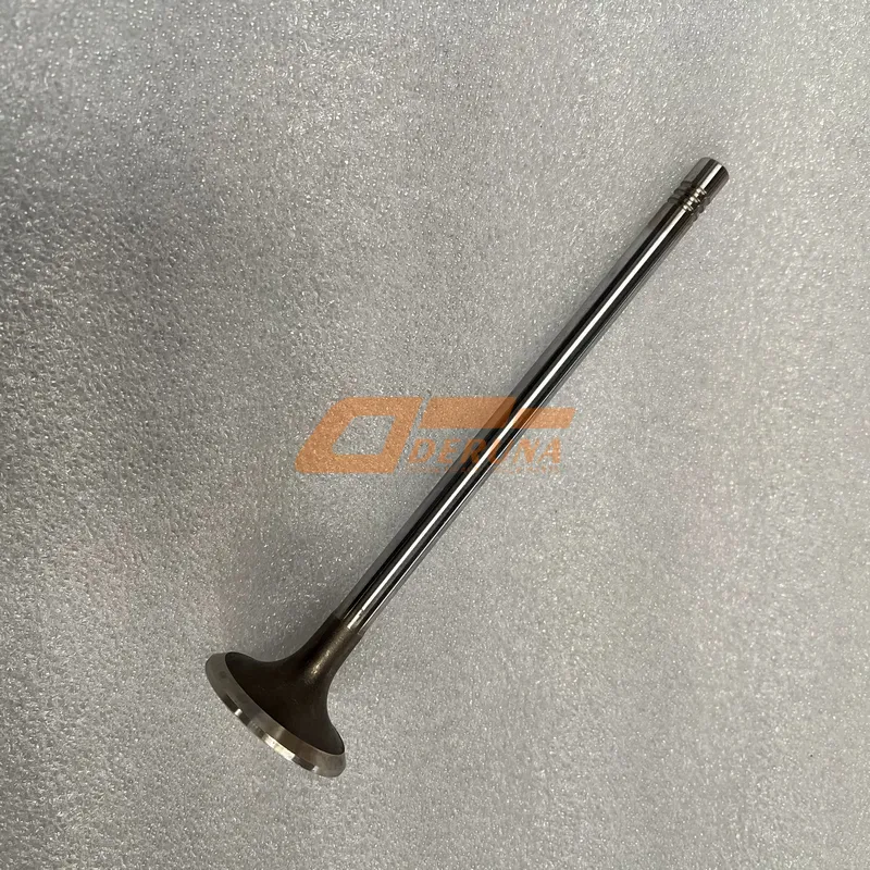 612630050146 Intake Valve