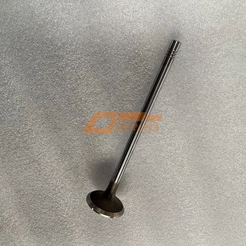 612630050146 Intake Valve