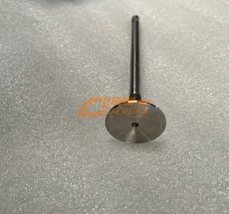 612630050146 Intake Valve